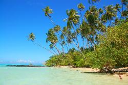 Fidschi- und Samoa-Expeditionen, Samoa und Fiji: Polynesiche Paradiese im Sdpazifik - Traumstrand